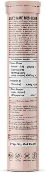 Vitaminnica Lion’s Mane Mushroom | 100% Pure Organic Tablets | Brain & Memory Support Supplement – Natural Nootropic for Focus, Clarity & Cognitive Function | Vegan, Non-GMO, Gluten-Free (Pack of 4) - Image 3