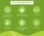 Nature’s Root Valerian Root Powder 500g - Valeriana Officinalis | 100% Natural Root Powder | Resealable Pack | Herbal Supplement - Image 4