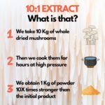 Organic Lions Mane Mushroom Powder 10X Strength - Nootropic Brain Supplement for Focus Memory & Concentration | Lion’s Mane HIGH Potency 10:1 Extract - 56 Serving (56g) - Image 6