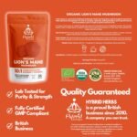Organic Lions Mane Mushroom Powder 10X Strength - Nootropic Brain Supplement for Focus Memory & Concentration | Lion’s Mane HIGH Potency 10:1 Extract - 56 Serving (56g) - Image 7