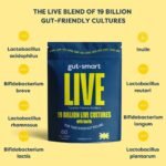Gut-Smart LIVE Probiotic Slow-Release Capsules - 19 Billion Live Cultures with Pre & Probiotics for Natural Healthy Digestion Supplements - Image 3