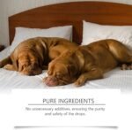 Mela/tonin for Dogs & Cats,Anxiety Relief for Small to Large Dog Breeds,Promote Relaxation & Deep Sleep,Sleep Aid Helps with Noise,Fireworks,Separation Anxiety,Dog Sleep Supports,Calm Behavior in Dogs - Image 5