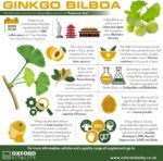 Ginkgo Biloba Tablets | 6000mg Supplements for Memory & Cognitive Functions | Oxford Vitality - Image 4