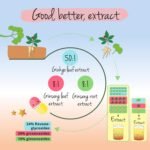 Vegavero Ginkgo Biloba 12000 mg & Panax Ginseng 2000 mg | High Strength Extracts | NO Additives, Lab-Tested | 120 Capsules (4 Month Supply) | Vegan - Image 5