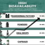 Pure Ashwagandha KSM-66 1000mg Transdermal Patches – 60 Patches for Stress Relief, Energy, and Mental Clarity | High Absorption, Like Capsules and Powder, Easy to Use, Long-Lasting. - Image 4