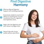 Health4All Slippery Elm 300mg 90 Capsules, Digestive Health & Acid Reflux Support. Vegan Digestive Support Supplement, Slippery Elm Inner Bark Powder, Stomach Soothe, Gluten Free | Made in UK - Image 4