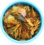 AQUARIAN Complete Nutrition, Aquarium Tropical & Temperate Fish Food Flakes, 50g Container - Image 3