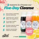 Juice Cleanse, 5 Day Detox Cleanse - 25 x 250ml, Healthy Juice Diet, Cold Pressed Fruit & Vegetables, Freezer Friendly, Vegan, Dairy & Gluten-Free, No Added Sugar or Preservatives - Image 5