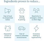 Calming powder for anxious dogs - Stress and Anxiety relief treats - Reduce fear of noise, separation, reactivity, travel, visitors - fast acting & long term - up to 120 servings (60g) - Image 3