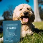 Calming powder for anxious dogs - Stress and Anxiety relief treats - Reduce fear of noise, separation, reactivity, travel, visitors - fast acting & long term - up to 120 servings (60g) - Image 4