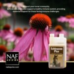 NAF Echinacea Plus 1L – Liquid Immune Support for Horses – With Echinacea & Herbal Extracts – Promotes Natural Immunity & Recovery – Ideal for Daily Use - Image 3