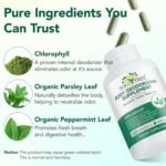 Body Deodorizing Supplement 120 Capsules, Internal Deodorant Chlorophyll Capsules, Natural Odor Control Chlorophyll Pills for Gut Health, Skin Health, Detox & Digestion Support - Image 3