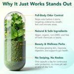 Body Deodorizing Supplement 120 Capsules, Internal Deodorant Chlorophyll Capsules, Natural Odor Control Chlorophyll Pills for Gut Health, Skin Health, Detox & Digestion Support - Image 4