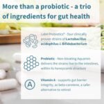 Igennus Probiotics & Prebiotic, Lactobacillus Acidophilus & Bifidobacterium, Live Cultures Complex for Gut Health, 25 Billion CFU, Vegan, Bloating Relief, for Women and Men, 30 Capsules, 1 a-Day - Image 4