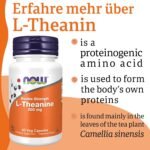 Now Foods, L-Theanine, 200mg, 60 Vegan Capsules, Amino Acid, Lab-Tested, Gluten Free, Soy Free, Non-GMO - Image 5