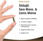 Shilajit Seamoss and Lions Mane Capsules 6000mg - High Strength Complex - 60% Fulvic Acid Shilajit, Irish Sea Moss, Lions Mane 100% Fruiting Body - Vegan, UK Made 120 Capsules - Image 3
