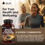 Shilajit Seamoss and Lions Mane Capsules 6000mg - High Strength Complex - 60% Fulvic Acid Shilajit, Irish Sea Moss, Lions Mane 100% Fruiting Body - Vegan, UK Made 120 Capsules - Image 4