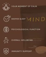 Mind Adaptogenic Hot Chocolate | Night-Time Sleep Drink with Reishi, Ashwagandha, Magnesium & Functional Mushrooms for Calm, Relaxation & Stress Relief | Low-Calorie Cocoa | 300g (30 Servings) - Image 3