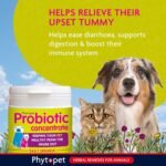 Phytopet Probiotic Concentrate, All Natural Probiotics for Gut Health, Immune Support and Support for Dogs, Cats and Small Mammals, 100g - 100% Herbal Phytopet Pet Supplies - Image 3