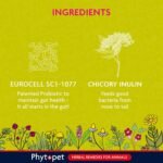 Phytopet Probiotic Concentrate, All Natural Probiotics for Gut Health, Immune Support and Support for Dogs, Cats and Small Mammals, 100g - 100% Herbal Phytopet Pet Supplies - Image 5