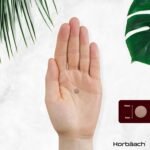 Red Yeast Rice 1000mg | 120 Vegan Tablets | High Strength Supplement with Monacolin K | by Horbaach - Image 6