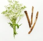 Valerian Root Cut | 1kg | Quality Ingredients | Natural Herb for Relaxation and Sleep Support | 100% Natural | No Artificial Additives - Image 3