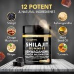 New Reduced Sugar Coating 3000mg of Shilajit Gummies with 1500mg of Ashwagandha, Chaga Mushroom, Ginger, Turmeric, Black Seed Oil, Ginseng, Vitamins C, B12, D, Zinc, Ceylon Cinnamon - Image 3