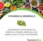 NaturesPlus Immune Boost - Complete Antioxidant Blend of Vitamin A, C, D, Zinc, Selenium, and More - Immune and Collagen Support- Vegetarian, Gluten Free - 60 Tablets - Image 5
