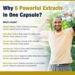 6-in-1 Super Strength Himalayan Shilajit Complex - Vegan Capsules for Adults, Pack of 90 Supplements | 20000mg, Lion's Mane, Irish Sea Moss, Ashwagandha Curcumin & Black Pepper | STERLING NUTRITION - Image 3