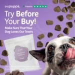 Pupps Dog Calming Chews Taster Pack – Try Before You Buy - Check Your Dog Loves Our Calm Treats & Tasty Pork Flavour - 100% Natural, Grain Free & Safe For All Breeds - Perfect For Fussy Dogs - Image 3