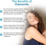 Health4All Chamomile 375mg, 60 Capsules 2 Months Supply, Purest Anxiety, Stress, Sleep and Digestive Health Supplement, Vegan Chamomile Flower Powder (not Extract) Capsules (not Tablets) | Made in UK - Image 4