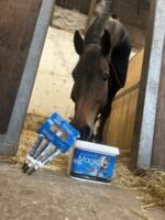 NAF Five Star Magic Liquid 1L – Magnesium-Based Calmer for Horses – Supports Relaxation, Focus & Behaviour – With Magnesium & Herbal Extracts – Ideal for Nervous or Tense Horses - Image 5