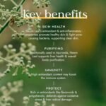 Fushi Organic Neem Leaf Capsules, 60 Caps | Fresh-Ground Whole Food | Detoxifying properties | Cleansing Herb, Purify Both Inside & Outside Body | Ethical & Vegan | Made in the UK - Image 4