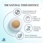 Physis Milk Thistle High Strength | 80% Silymarin | Liver Support Supplements | Milk Thistle Seeds | Vegan Food Supplement | 60 x Tablets | Made in Britain - Image 3