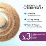 Physis Milk Thistle High Strength | 80% Silymarin | Liver Support Supplements | Milk Thistle Seeds | Vegan Food Supplement | 60 x Tablets | Made in Britain - Image 4