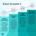 Physis Milk Thistle High Strength | 80% Silymarin | Liver Support Supplements | Milk Thistle Seeds | Vegan Food Supplement | 60 x Tablets | Made in Britain - Image 5