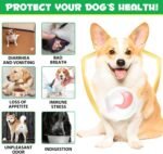 Dog Probiotics for Gut Health, Probiotics for Dogs, Canine Supplements for Digestive and Immunity Support, Gut Health,Yeast Balance, Dog Probiotic and Enzyme Tablets (180 Count) - Image 5