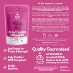 Plant Based Collagen Powder - Anti Aging Supplement for Skin, Wrinkles, Hair Growth with Pink Pitaya, Acerola Cherry & Tremella Mushroom Extracts | 113 Servings (113g) – Vegan Collagen - Image 7