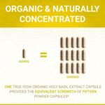 Holy Basil Capsules - Organic Vitamin B6 Capsules | Tulsi Capsules | Soil Association Certified Organic Holy Basil Extract 15:1 | High Strength 2.5% Ursolic Acid | 60 Easy Swallow Tulsi Powder Pills - Image 3