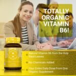 Holy Basil Capsules - Organic Vitamin B6 Capsules | Tulsi Capsules | Soil Association Certified Organic Holy Basil Extract 15:1 | High Strength 2.5% Ursolic Acid | 60 Easy Swallow Tulsi Powder Pills - Image 4