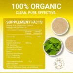 Holy Basil Capsules - Organic Vitamin B6 Capsules | Tulsi Capsules | Soil Association Certified Organic Holy Basil Extract 15:1 | High Strength 2.5% Ursolic Acid | 60 Easy Swallow Tulsi Powder Pills - Image 5