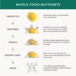 Gentle Iron – Together Health – Whole Food Nutrients – Iron and B Vitamins – Vegan Friendly – Made in The UK – 90 Vegecaps – Pack of 3 - Image 5