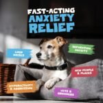 Pets Purest Dog Calming Drops - 100% Natural Cat & Dog Anxiety Relief Calming Oil for Dogs, Cats & Pets. Soothe Stressed, Nervous, Reactive Pets with Anxiety - 50ml Calming Supplement - Image 4