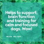 Calm-K9 Calming Supplement for Dogs - 60 Tablets - Aids Anxiety Relief, Fireworks, Stress & Barking - Improves Reactive Behaviour - Natural Ingredients - For All Ages & Breeds - Image 5