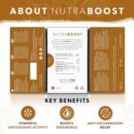 Nutra Tea NUTRABOOST - Energy Tea - Herbal Energy Boost Tea - Helps With Tiredness And Fatigue -Includes Green Tea, Ginseng & Ashwagandha - 20 Individual Wrapped Bags - Herbal Infusion (1 Pack) - Image 3