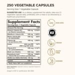 Solgar Vitamin B-Complex "100" Extra High Potency Vegetable Capsules - Pack of 250 - Key Vitamin B Combination - For Increased Energy and Mental Performance - Vegan and Gluten Free - Image 3