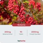 Berberine HCL Supplement High Strength - 2000mg 99% HCL by BioHerbs | 90 One-Per-Day Capsules (3-Month Supply) - Image 3