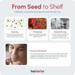 Berberine HCL Supplement High Strength - 2000mg 99% HCL by BioHerbs | 90 One-Per-Day Capsules (3-Month Supply) - Image 4
