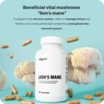 Vilgain Lion's Mane ⁠-⁠ Vital Mushroom with 30% Polysaccharides, Supports The Nervous System, Immunity, Cognitive Functions & Stress Relief, Vegan, Highly Concentrated Extract, 90 Capsules - Image 3