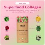 Rheal Plant Collagen Powder, 150g (30 Servings), Vegan Collagen Booster with Vitamin C Superfoods, Supports Skin Health, Glow & Elasticity, Drinkable Skincare Supplement, Certified Organic - Image 4